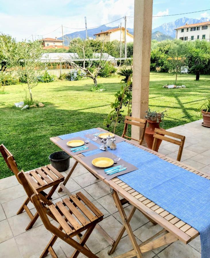 Agriturismo La Vite Maritata Villa Pietrasanta Buitenkant foto